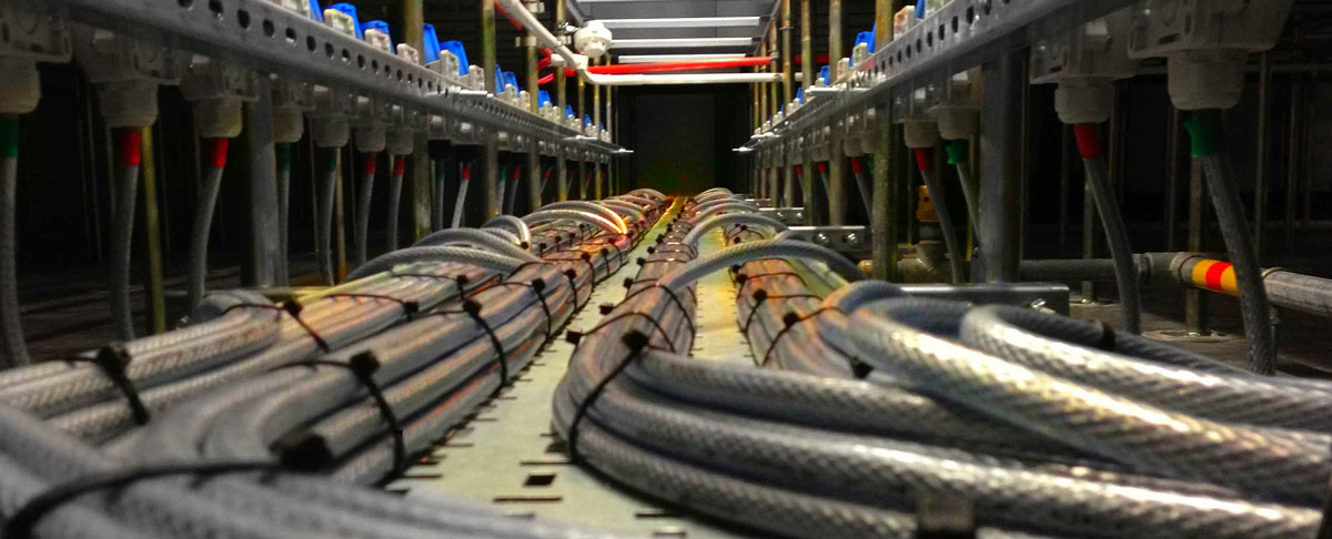 Network system cables