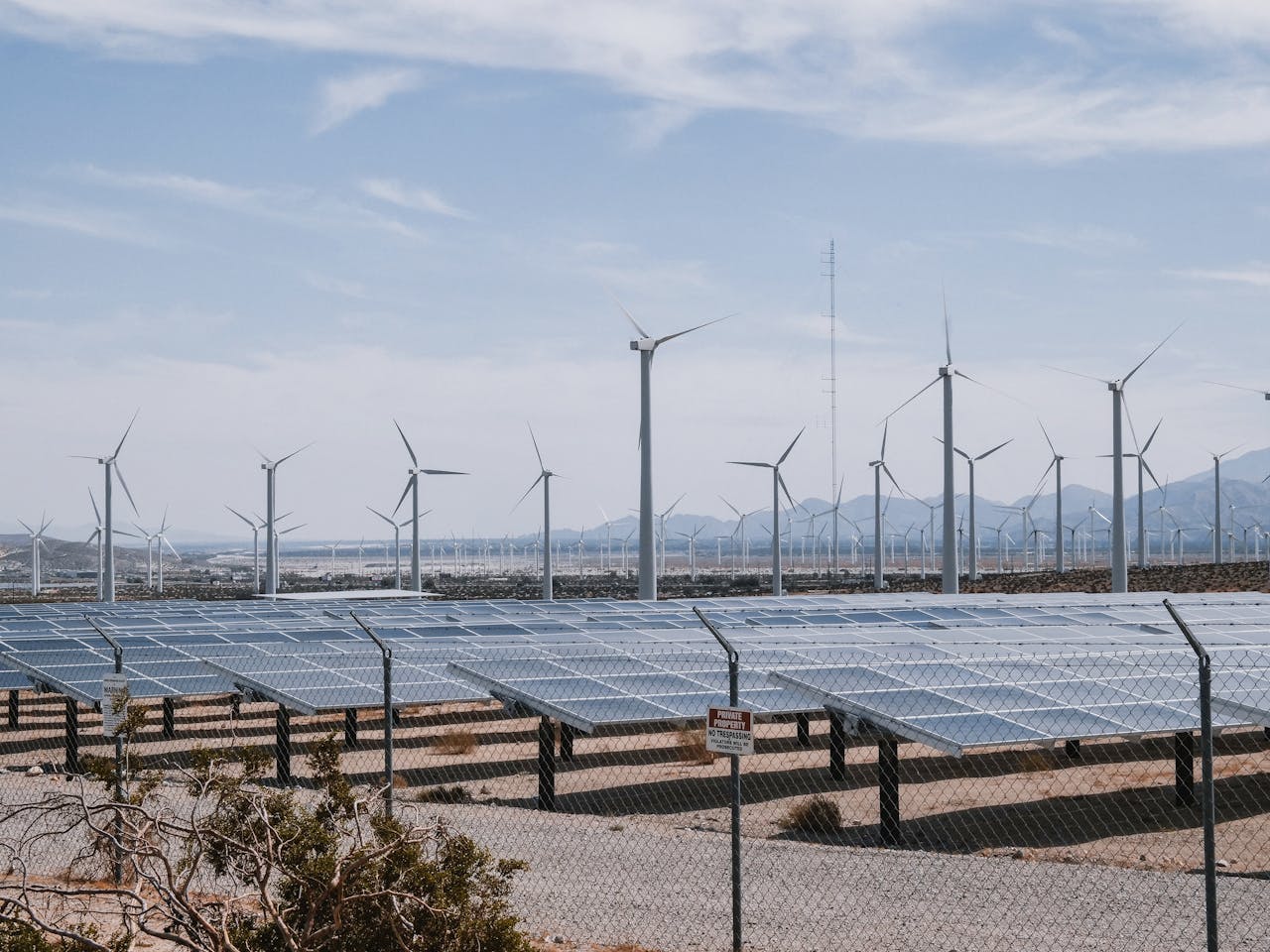 A renewable energy farm